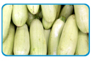 witte courgette