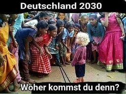 duitsland 2030 petry