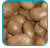 aardappels2_thb
