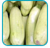 witte courgette thb