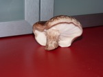 De_eerste_oogst