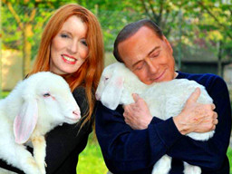 berlusconi lammetjes