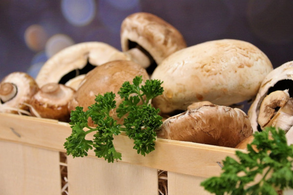 champignons bakje