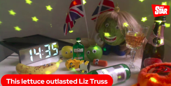 daily star lettuce liz truss