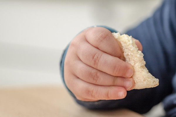 kinderhand brood