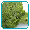 broccoli2 thb