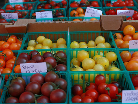 lekkere tomaten