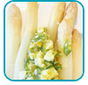 asperges snijboon thb