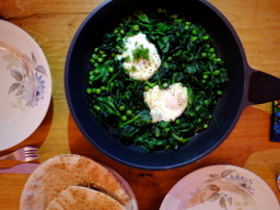 groene shakshuka klein