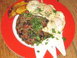 gallo pinto thb