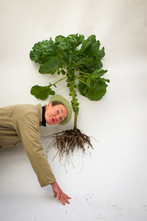 mari maris spruitjes